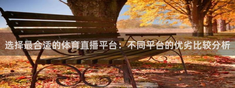选择最合适的体育直播平台：不同平台的优劣比较分析