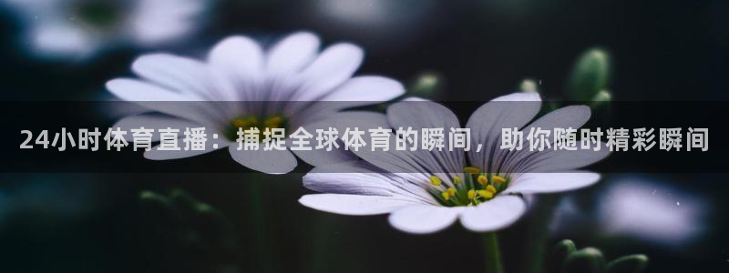 24小时体育直播：捕捉全球体育的瞬间，助你随时精彩瞬间