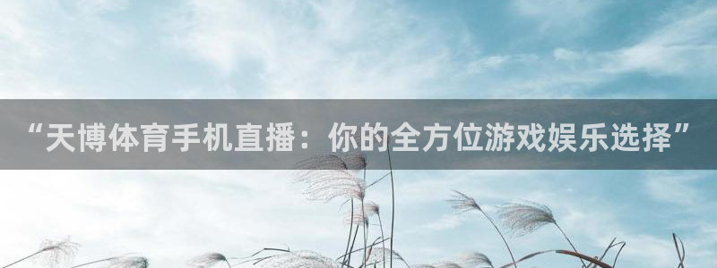 “天博体育手机直播：你的全方位游戏娱乐选择”