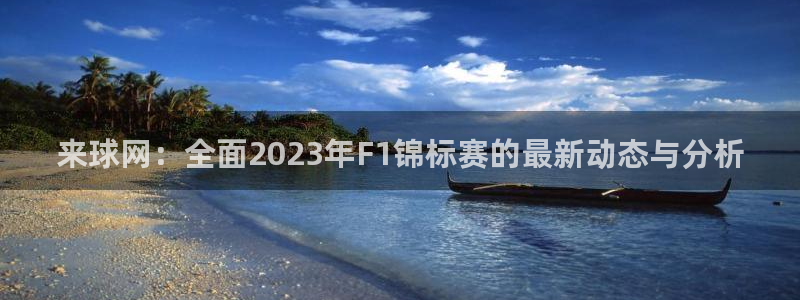 来球网：全面2023年F1锦标赛的最新动态与分析