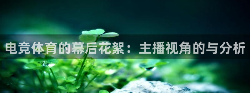 电竞体育的幕后花絮：主播视角的与分析